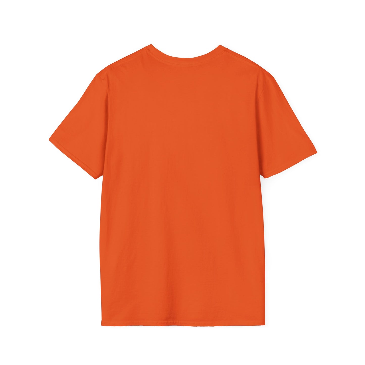 Hello fall shirt, leopard pumpkin shirt